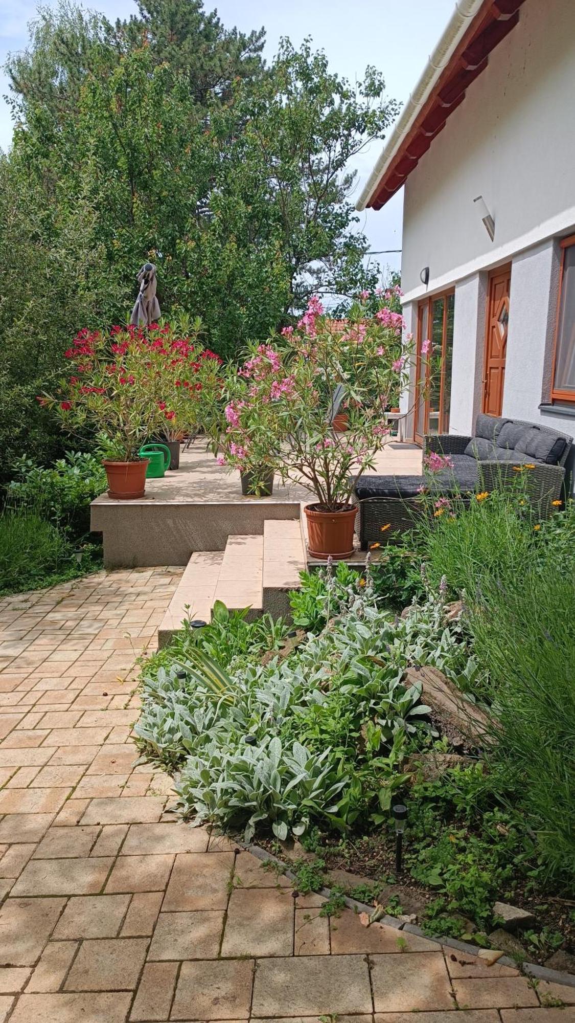 Fuege Vendeghaz Sajkod Villa Tihany Exterior foto